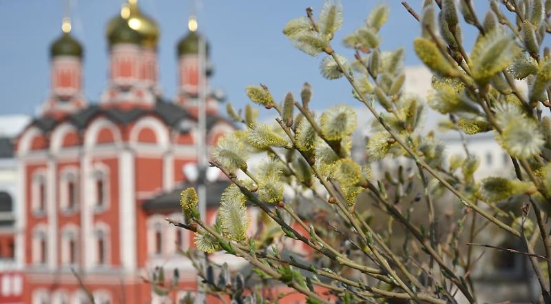 Природа подскажет, когда что сажать: 4 главных природных маркера, за которыми следят все дачники