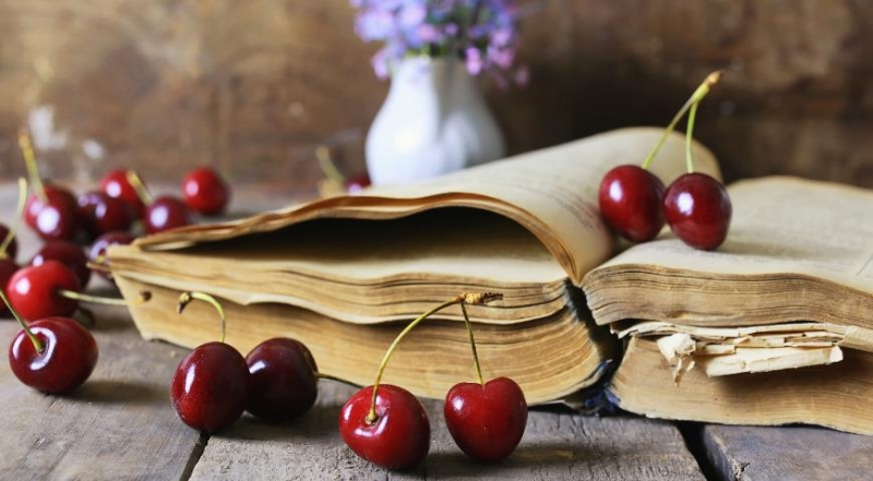 Какие удобрения нужны в саду и огороде в июне, список для всех культур