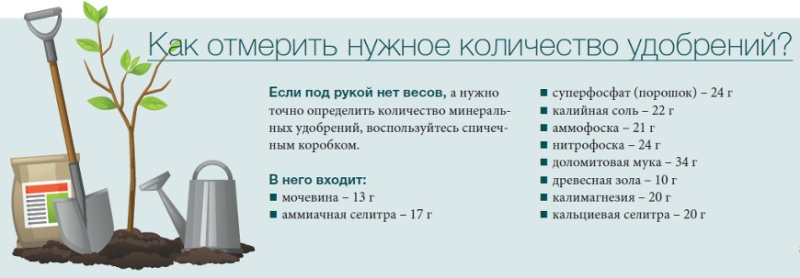 Какие удобрения нужны в саду и огороде в июне, список для всех культур
