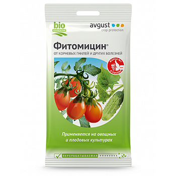 Основные болезни и вредители огурцов, лечение и профилактика