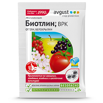 Основные болезни и вредители огурцов, лечение и профилактика