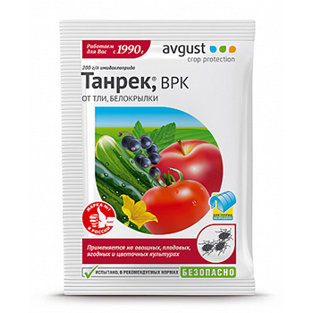 Основные болезни и вредители огурцов, лечение и профилактика