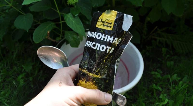 Подкормка гортензии в июле: когда и чем удобрить для лучшего цветения