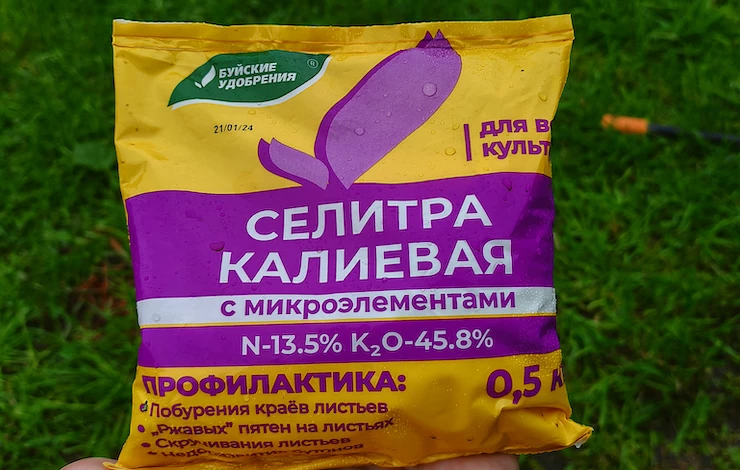 Подкормка роз: лучшие удобрения, способы и график внесения