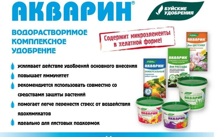 5 советов для картофеля: чем удобрить, когда подкормить, как обработать