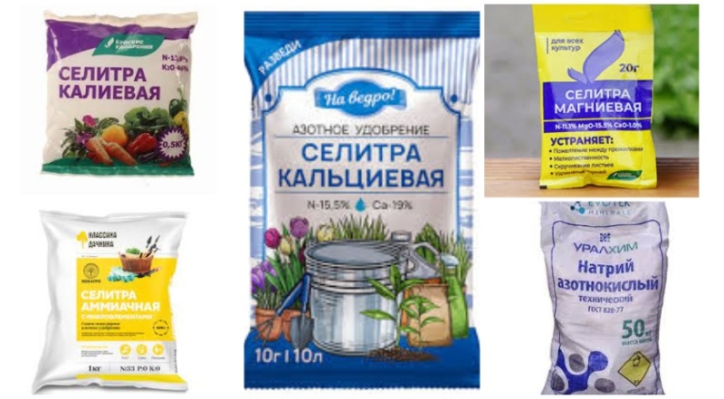 Как подкармливать перец летом для хорошего урожая