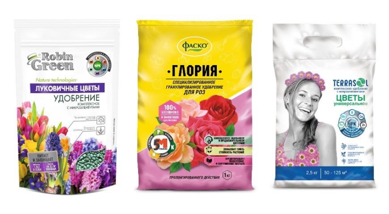 Как правильно поливать и удобрять георгины, чтобы получить пышное цветение