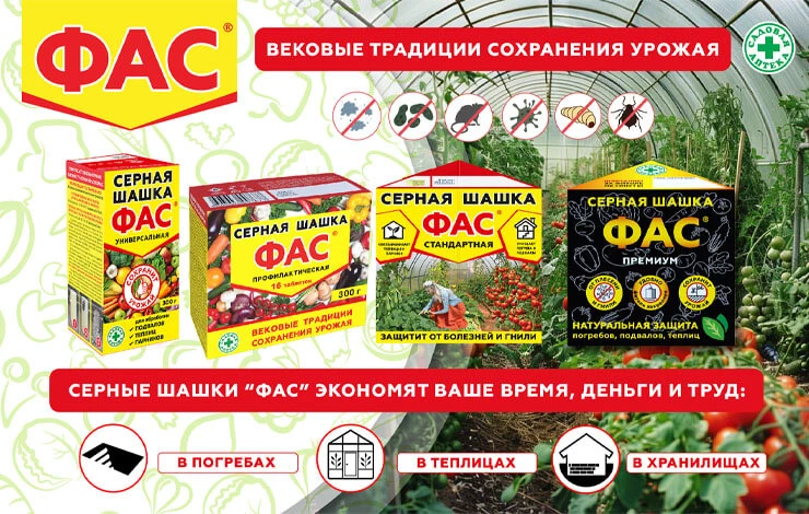 Обработка погреба серной шашкой в августе: пошаговая инструкция и меры безопасности