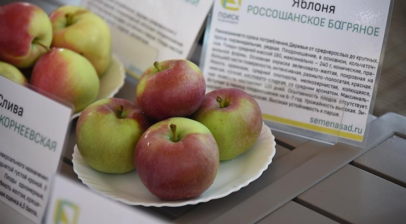 Почему опадают завязи плодовых деревьев: яблони, груши, вишни, и как спасти урожай